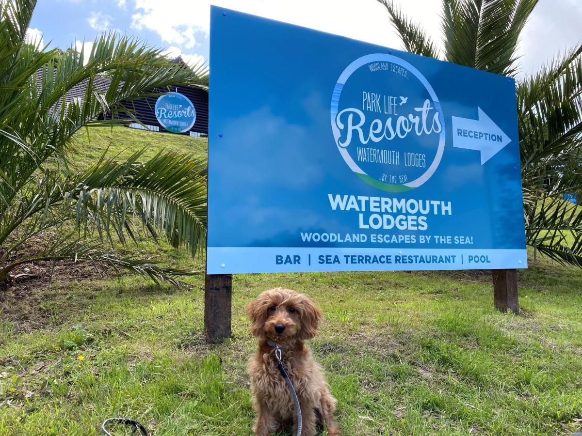 Watermouth Lodges Ilfracombe Bagian luar foto