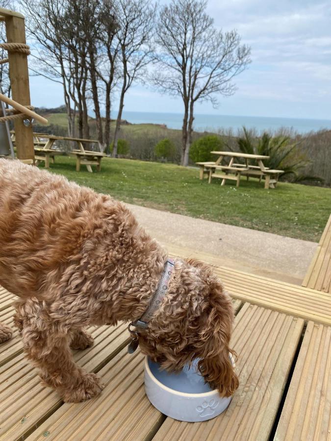 Watermouth Lodges Ilfracombe Bagian luar foto
